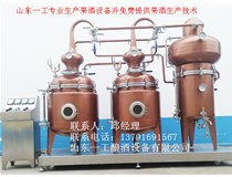 樱桃果脯液去硫技术行业专用设备