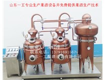 果脯液生产白兰地技术水果酒生产设备