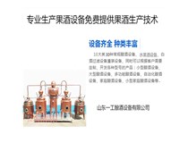 蒸酒设备 白兰地蒸馏设备