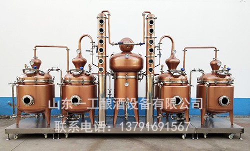 节能型白兰地蒸馏设备 果酒蒸馏设备